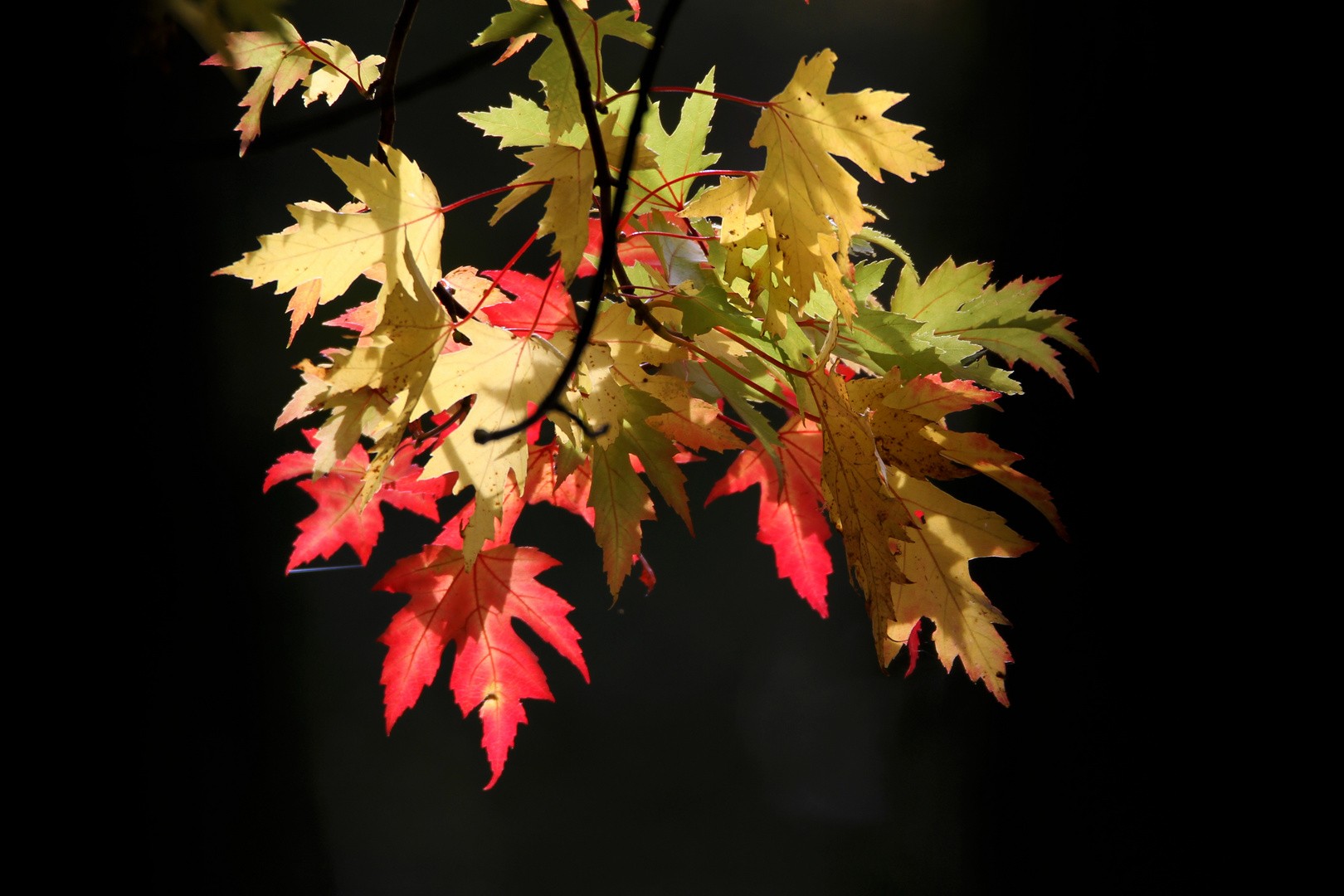 oktober farben