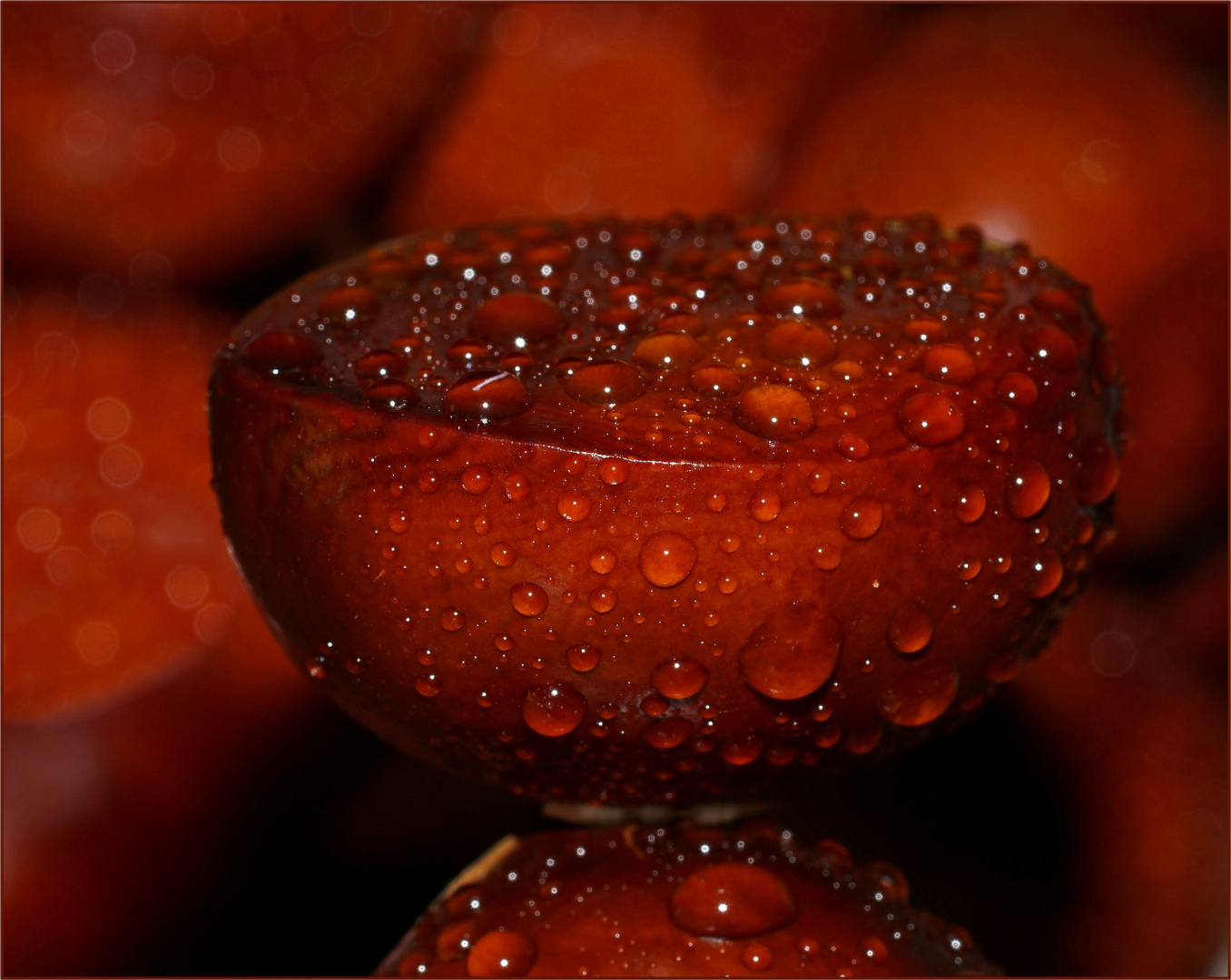 Oktober-Frucht...