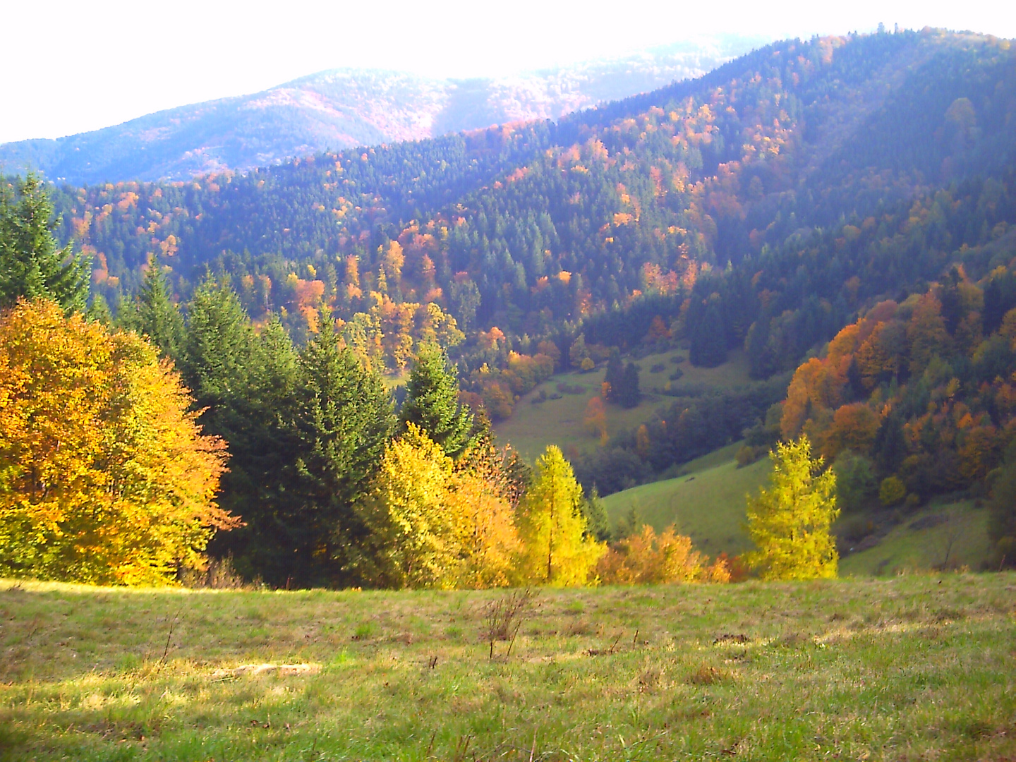 Oktober heitrer Wandersmann, malt Bäume, Wiesen, Blätter an.