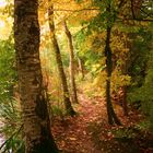 Oktober - Herbstsimmung am Teich