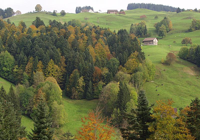 Oktober-Hügel