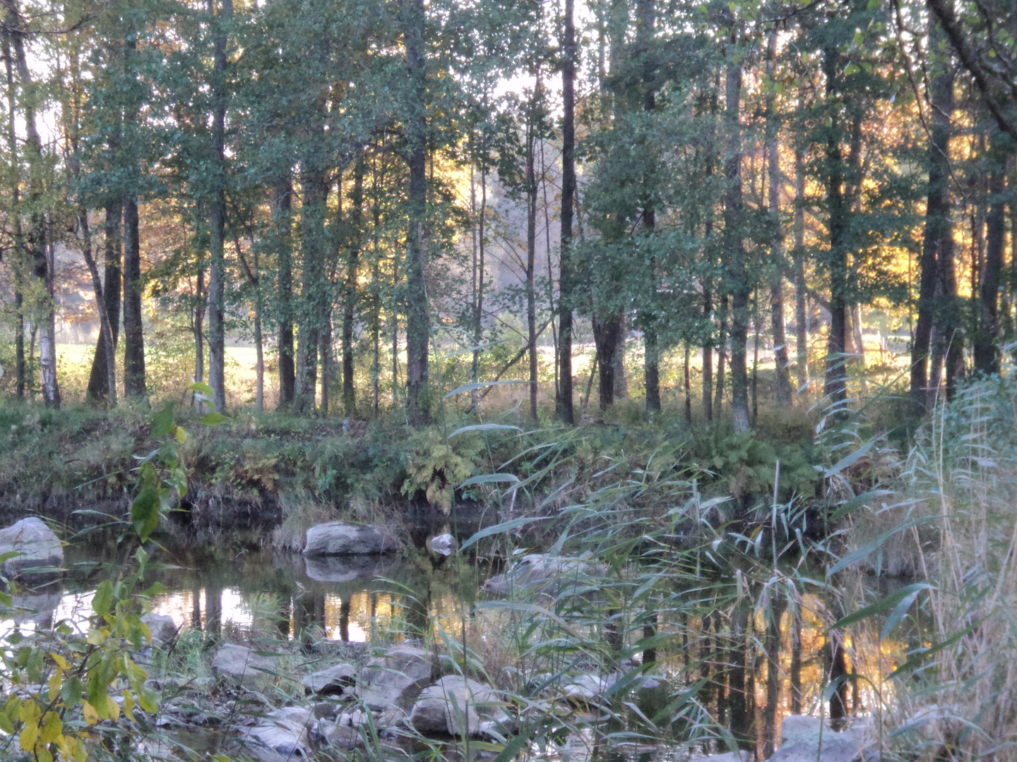 Oktober- Idylle