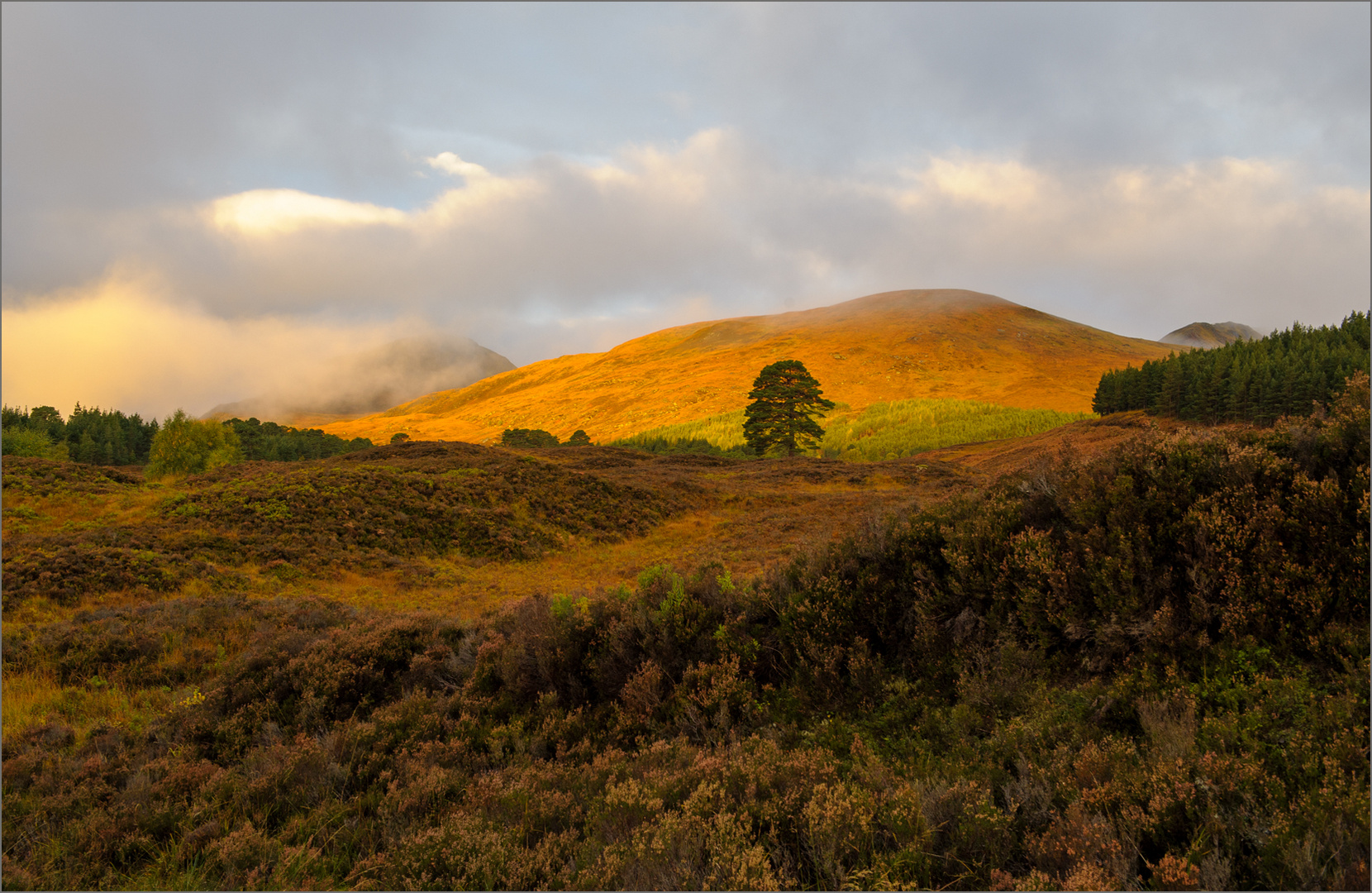 Oktober im Glen Affric