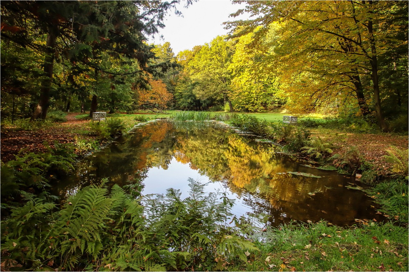 Oktober im Grünefelder Park (1)