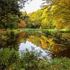 Oktober im Grünefelder Park (1)