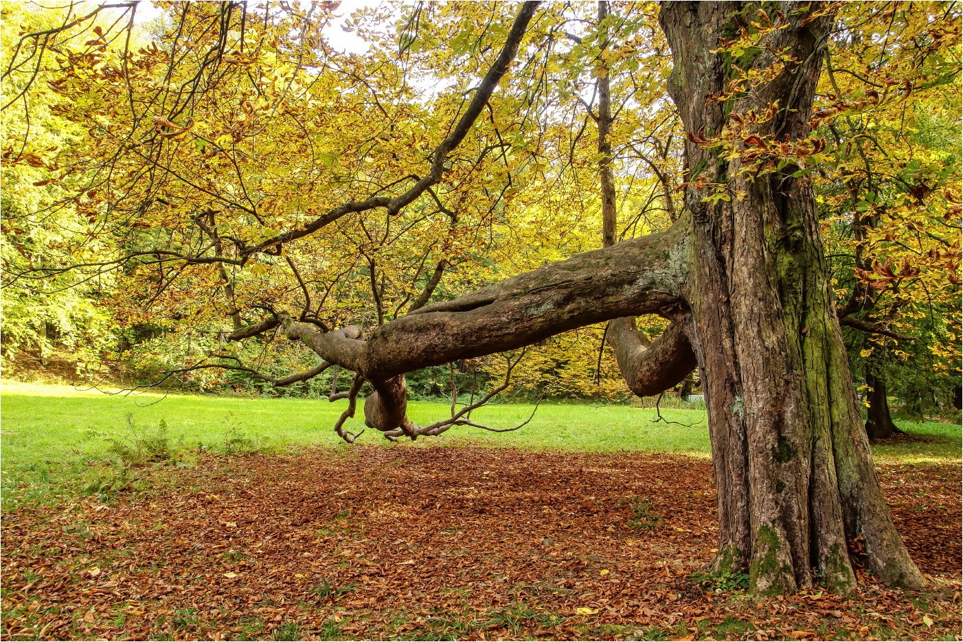 Oktober im Grünefelder Park (2)