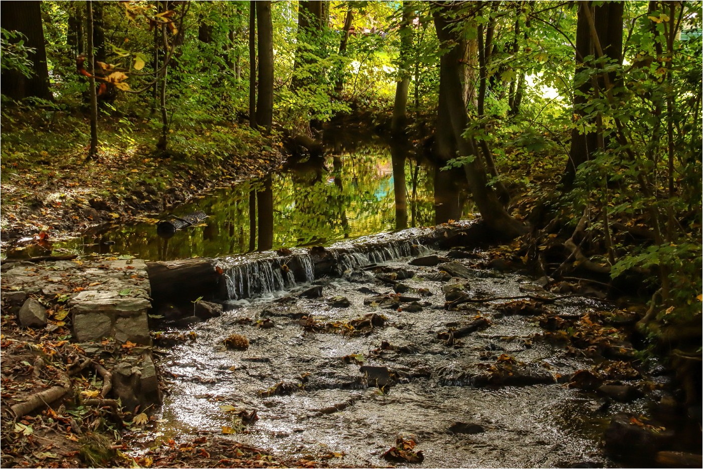 Oktober im Grünefelder Park (4)