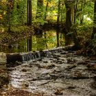 Oktober im Grünefelder Park (4)