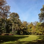 Oktober im Grünefelder Park (5)