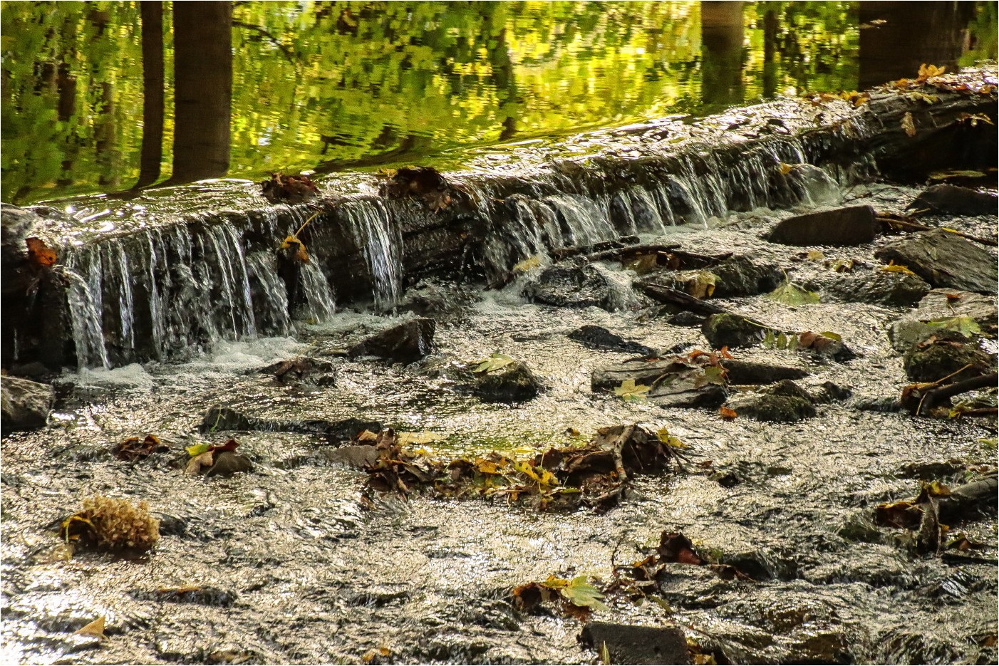 Oktober im Grünefelder Park (8)