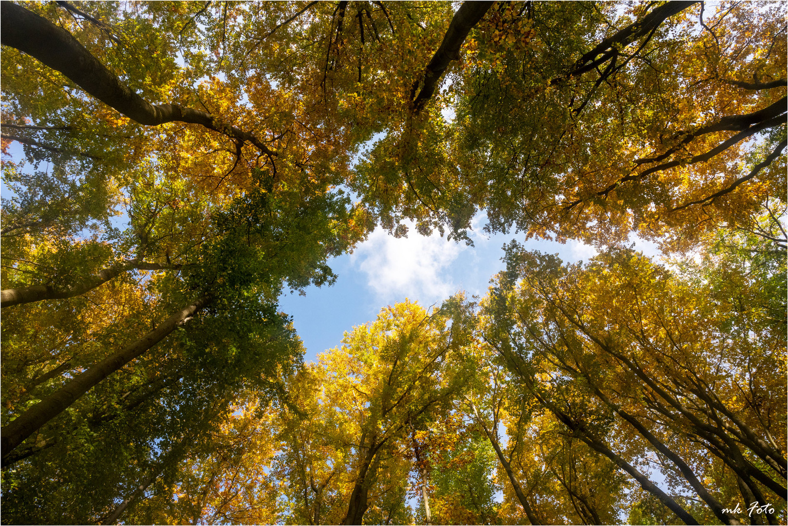 Oktober im Hainich