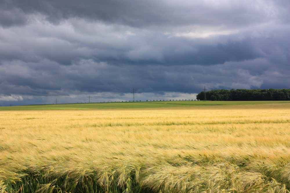 Oktober im Juni