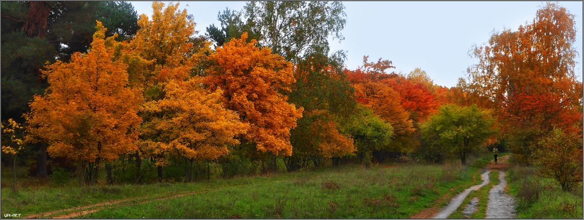 Oktober im Mainzer Sand.