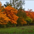 Oktober im Mainzer Sand.