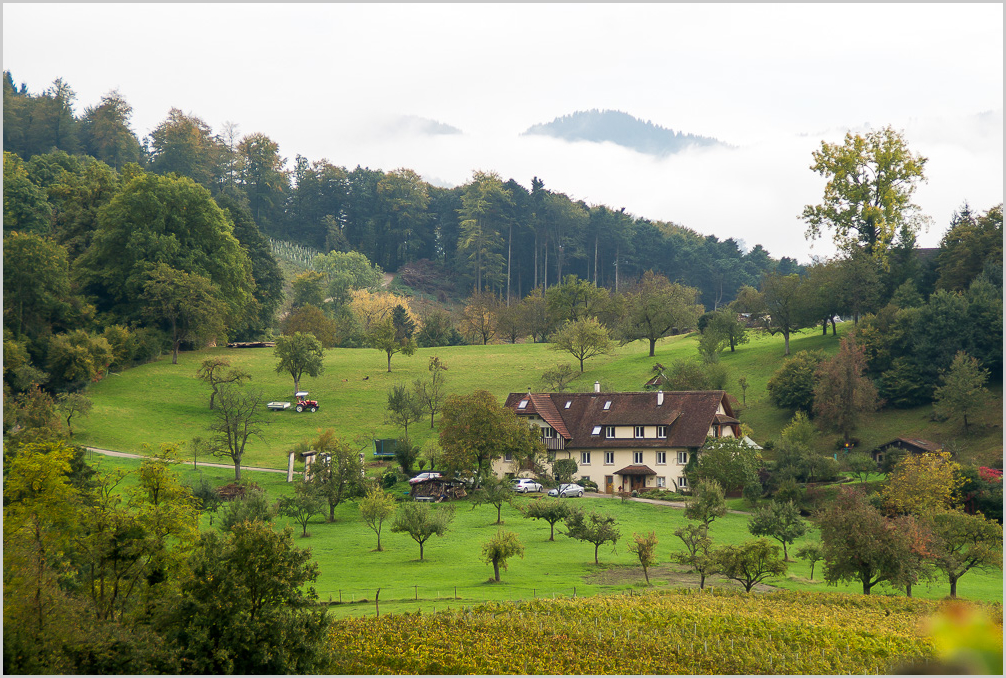 Oktober im Markgräflerland