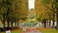 Oktober im Park