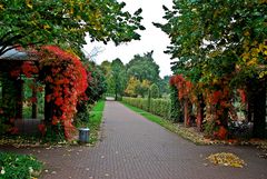 Oktober im Park