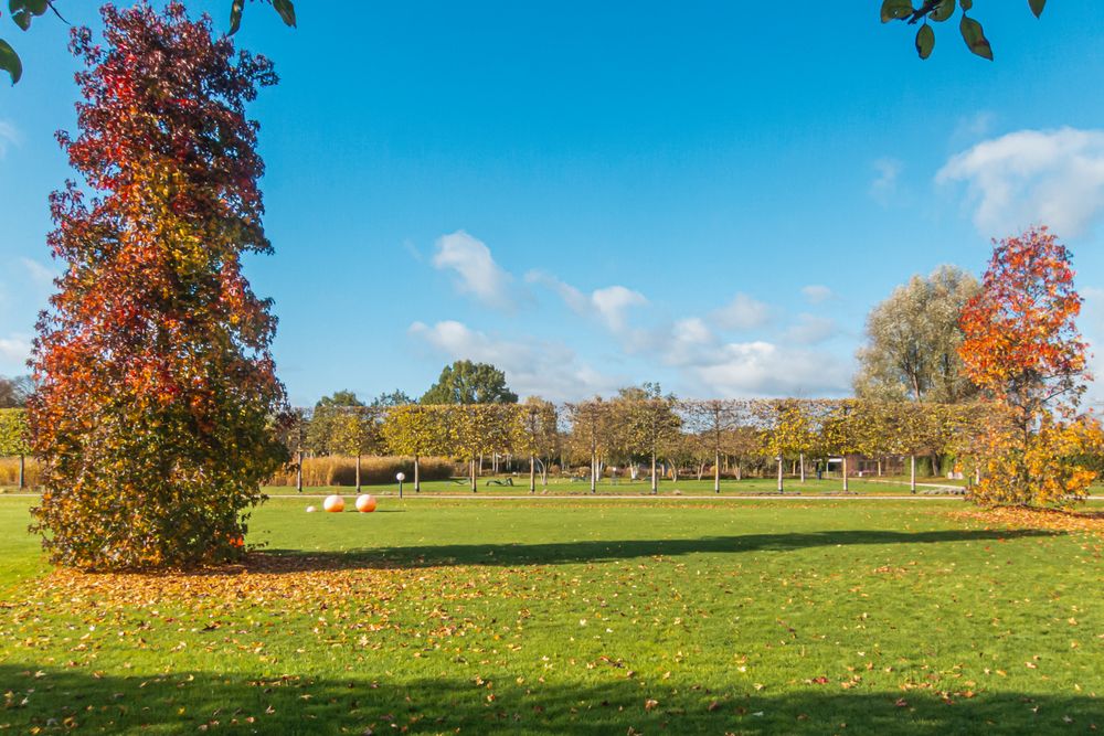 Oktober im Park