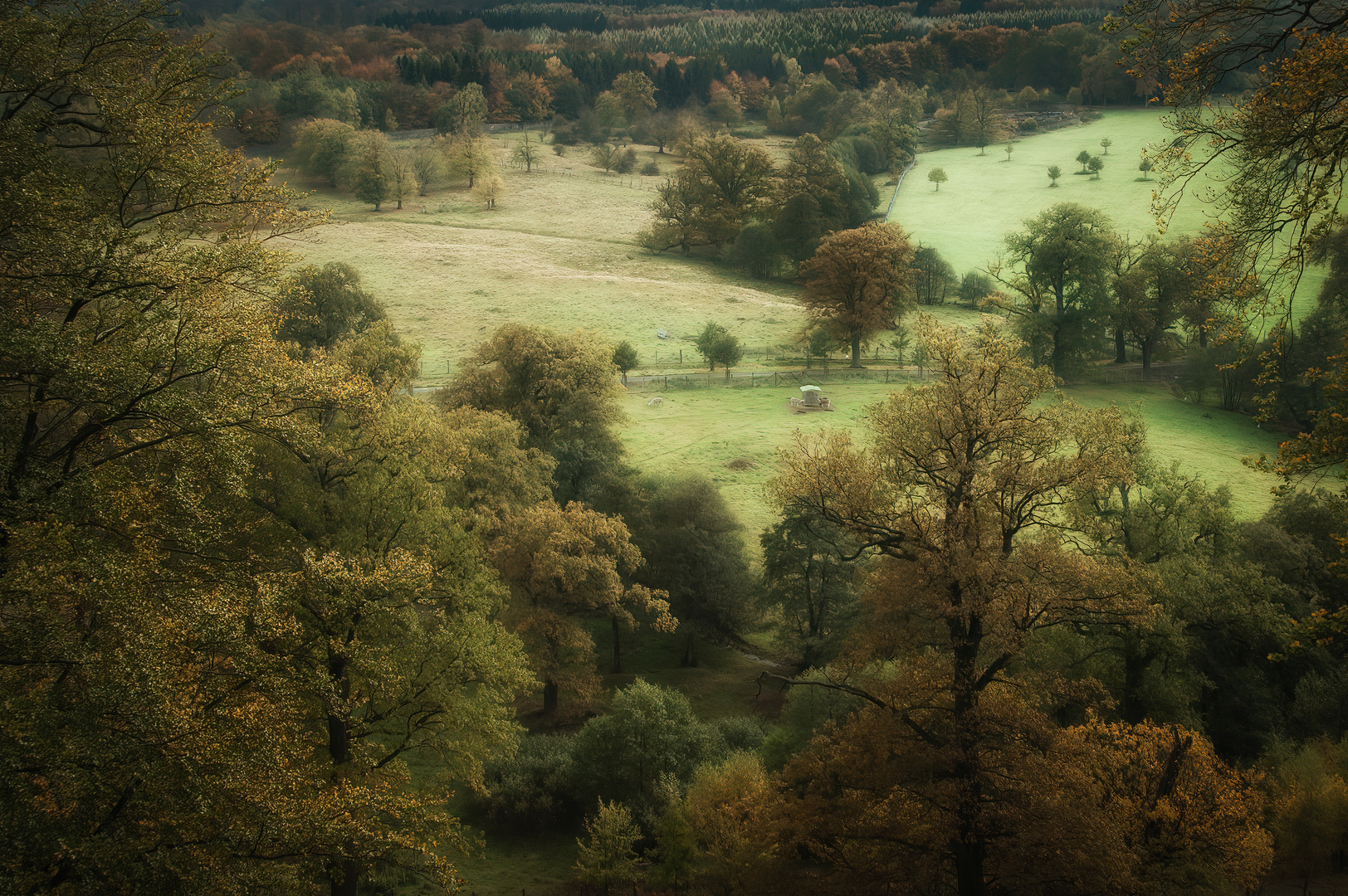 Oktober im Rheinhardswald