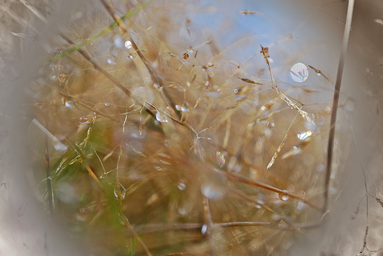 Oktober-Impressionen... 1