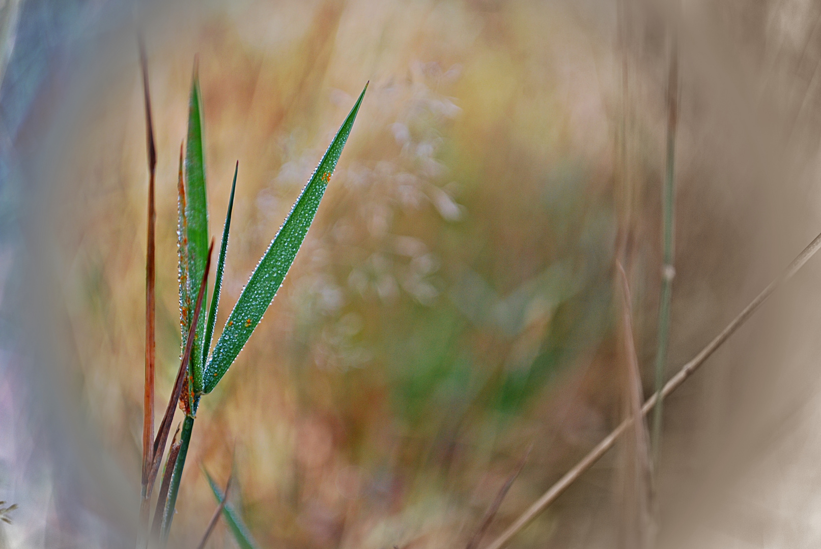 Oktober-Impressionen... 2