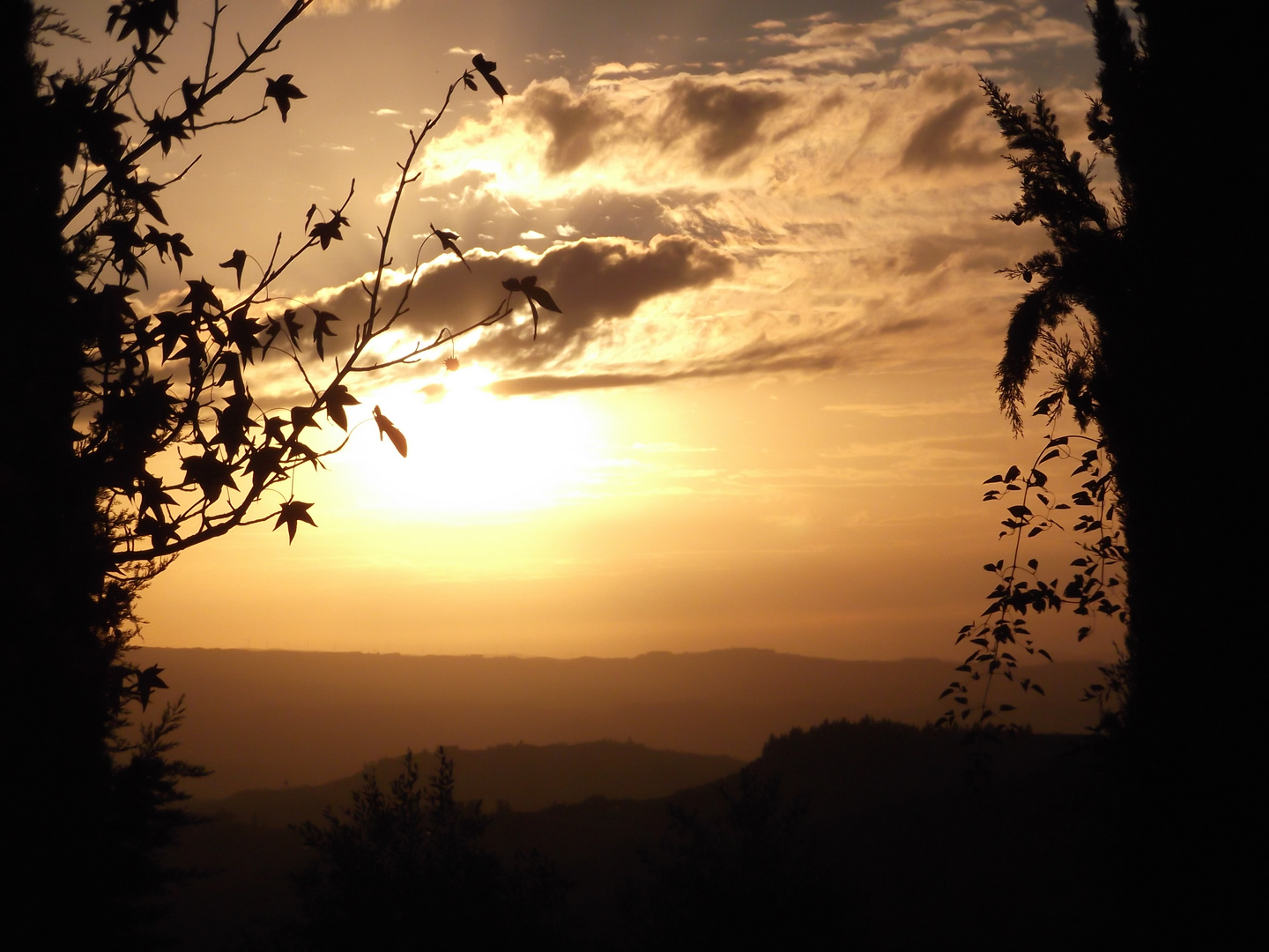 Oktober in Chianti