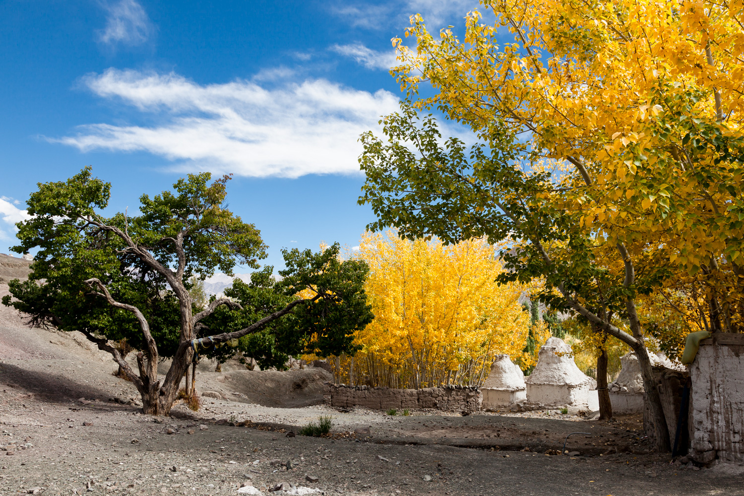 Oktober in Ladakh