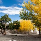 Oktober in Ladakh