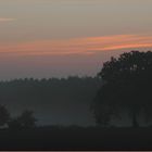 Oktober --------------- in tiefster niedersächsischer Provinz