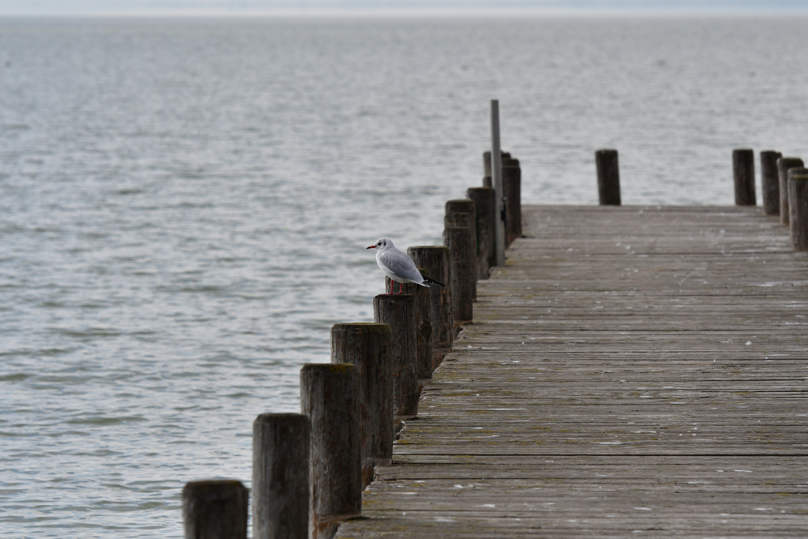 Oktober in Weiden am Neusiedlersee