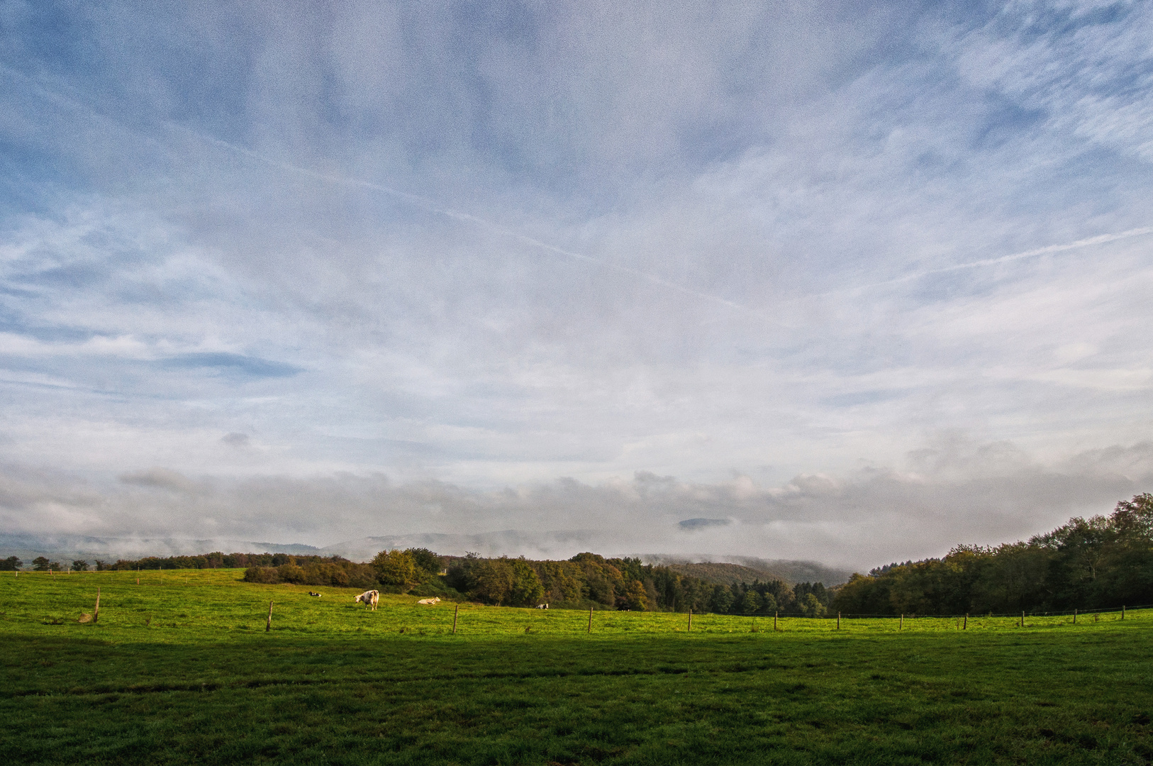 Oktober-Morgen im Hunsrück