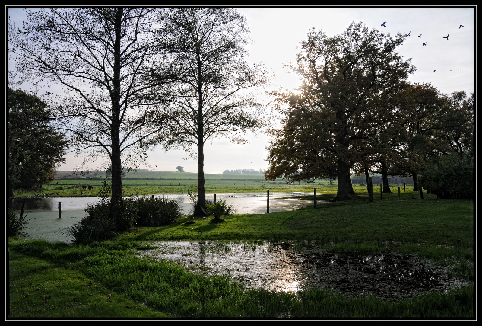 Oktober-Nachmittag