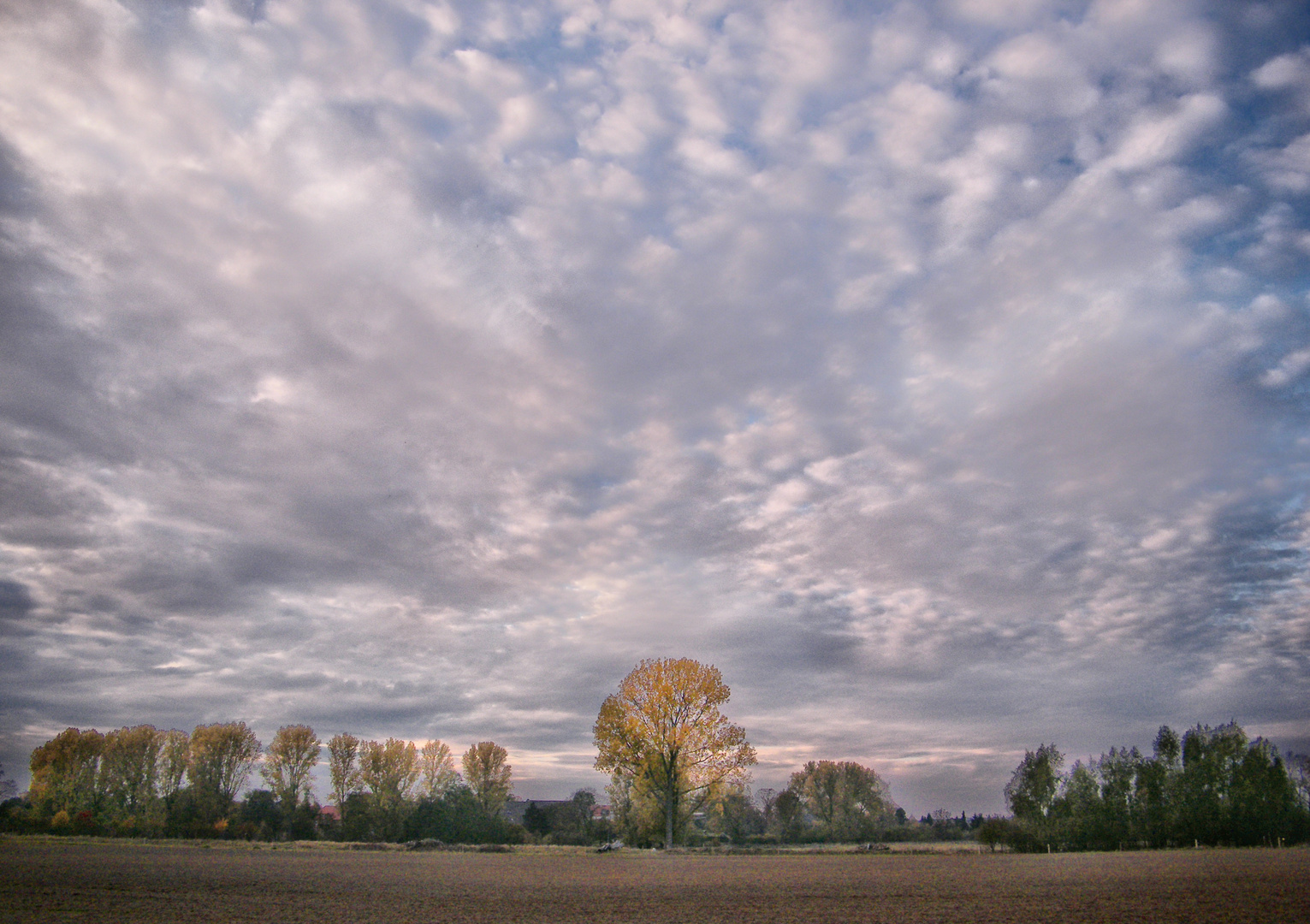 Oktober - Nachmittag in Hondelage, Braunschweiger Land