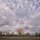 Oktober - Nachmittag in Hondelage, Braunschweiger Land