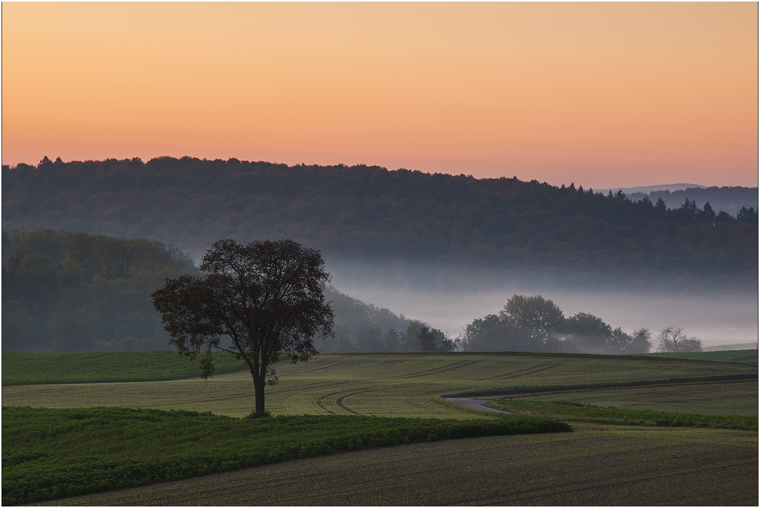 Oktober-Nachzügler