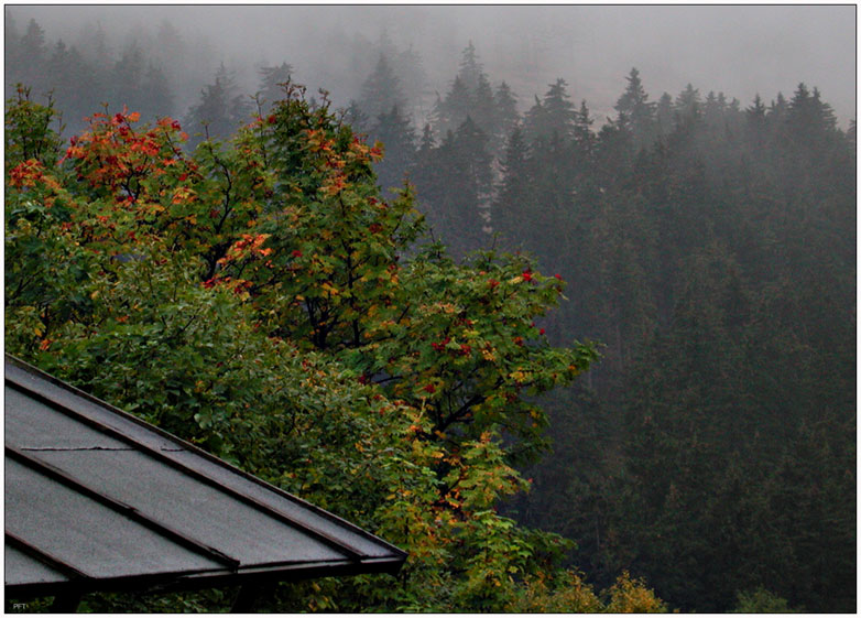 Oktober-Nebel am Fichtelberg (Erzgebirge) von Peter Wolf v. Miriquidi-Staufen