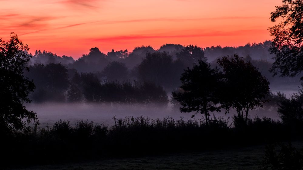 Oktober-Nebel bei Sonnenaufgang