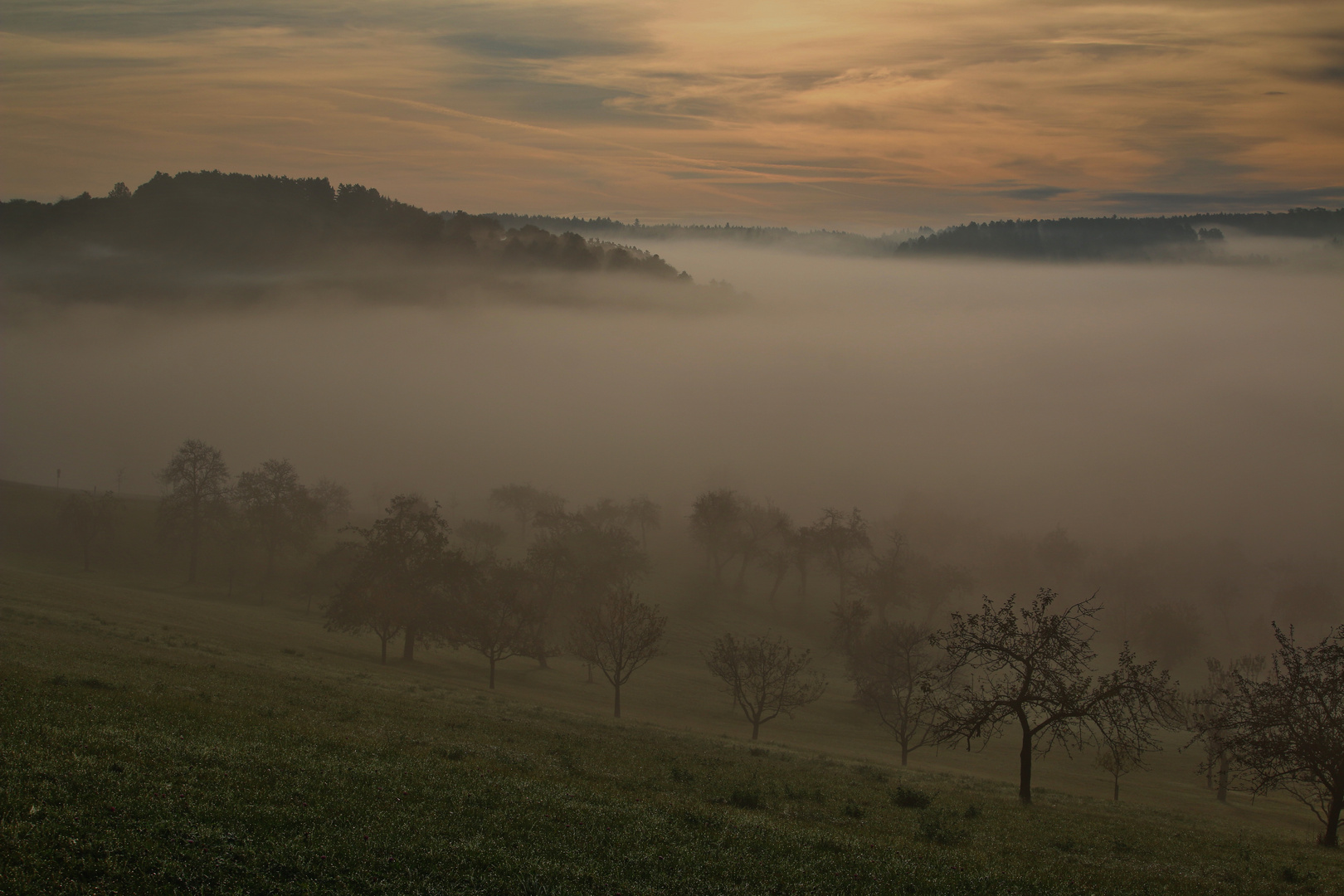 Oktober- Nebelmorgen im Nordschwarzwald