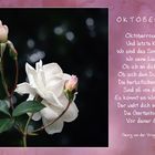 Oktober-Rose
