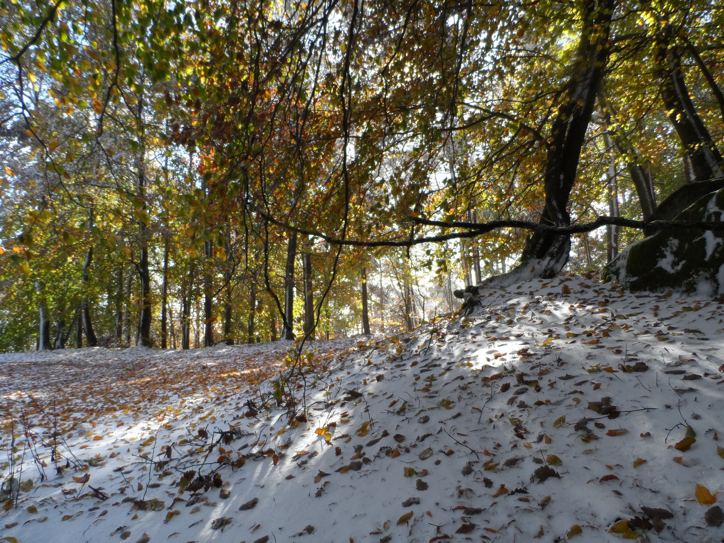 Oktober Schnee