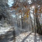 Oktober Schnee auf der Kalmit