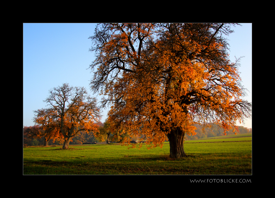 Oktober Sonne