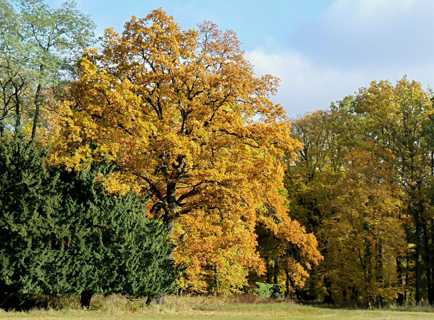 Oktober-Sonne