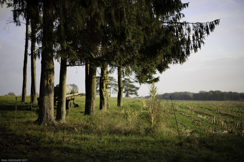 "Oktober Sonne"