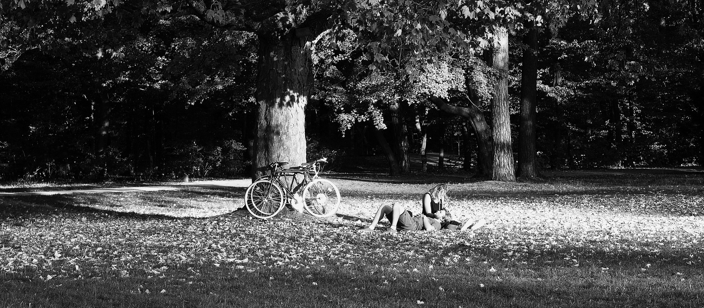 Oktober - Sunshine-Day under the Tree - Relaxtime ?