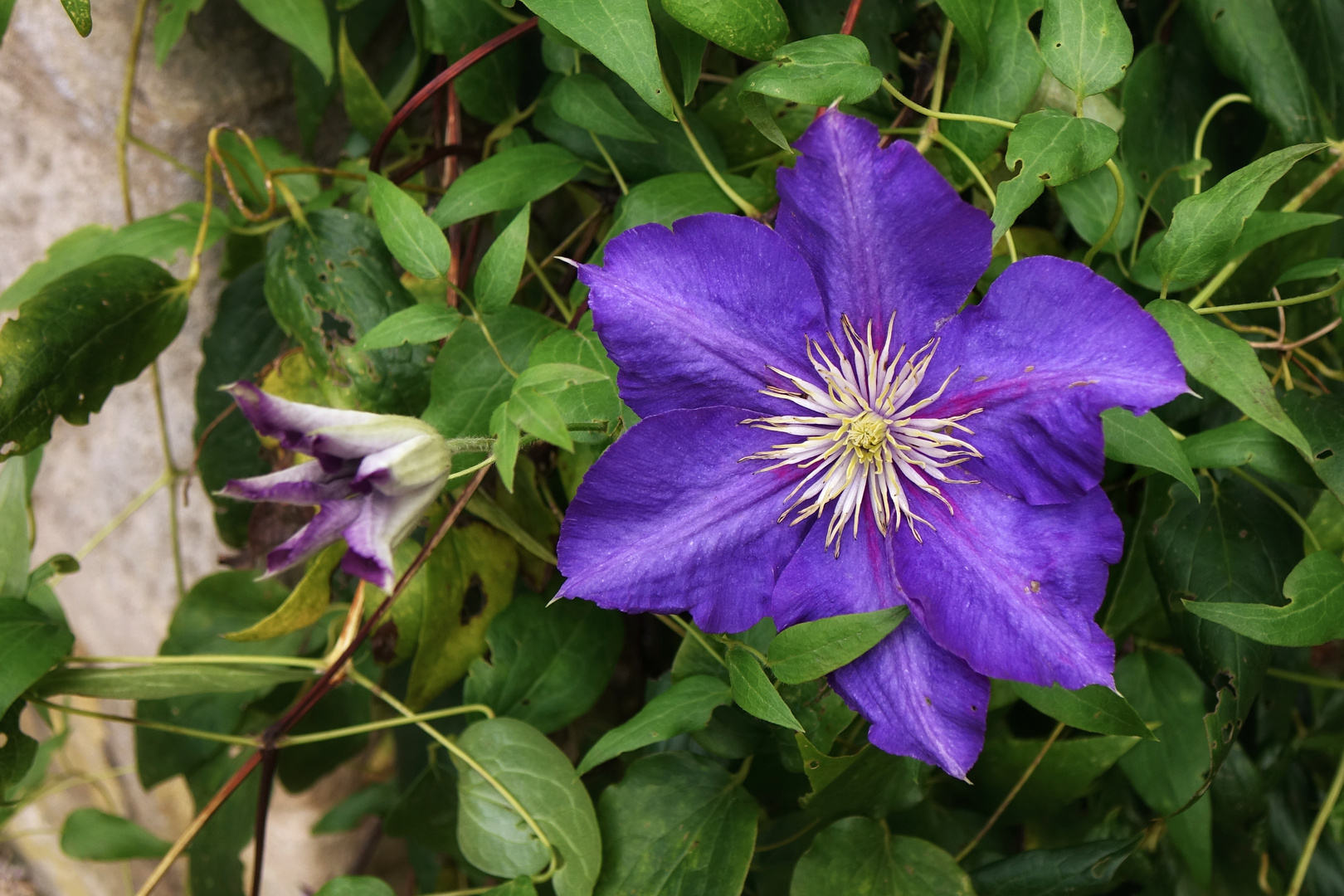 Oktober trifft ins Blaue ...