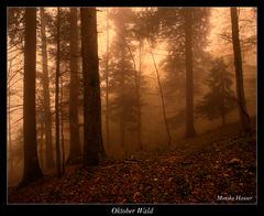 Oktober Wald