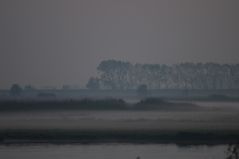 Oktoberabend am Lauwersmeer