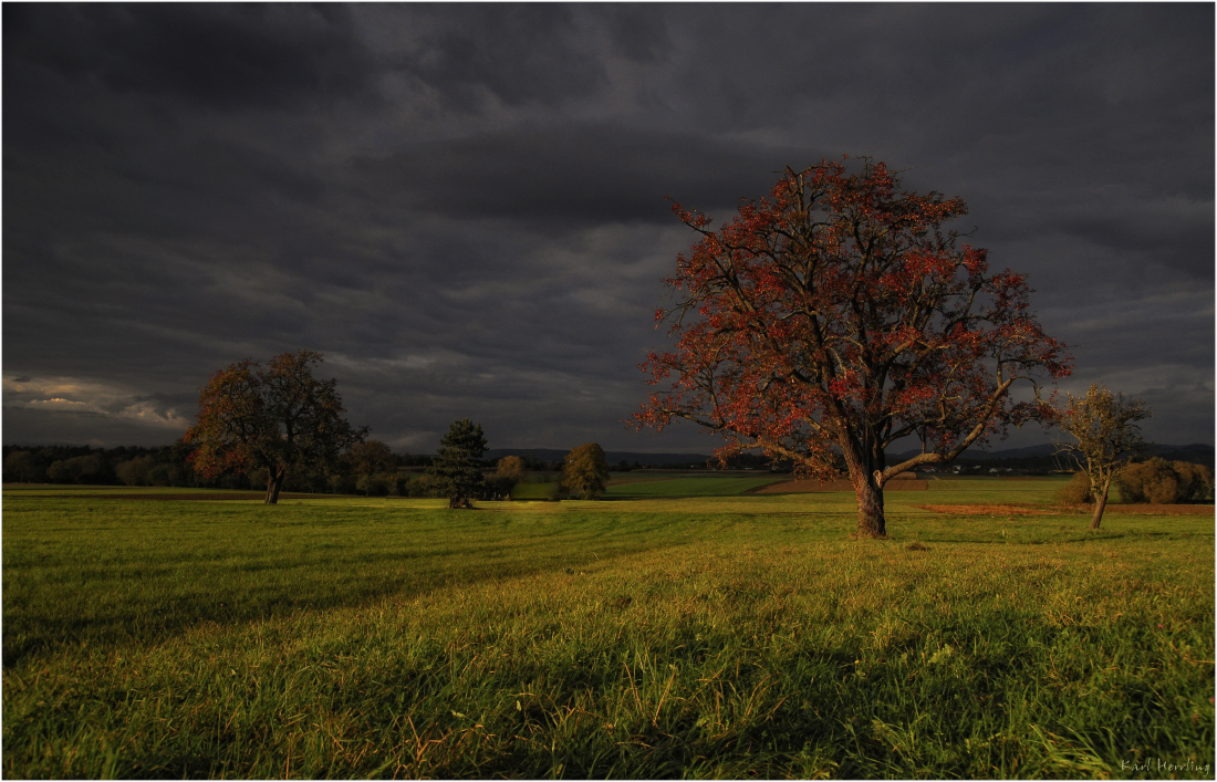 Oktoberabendlicht