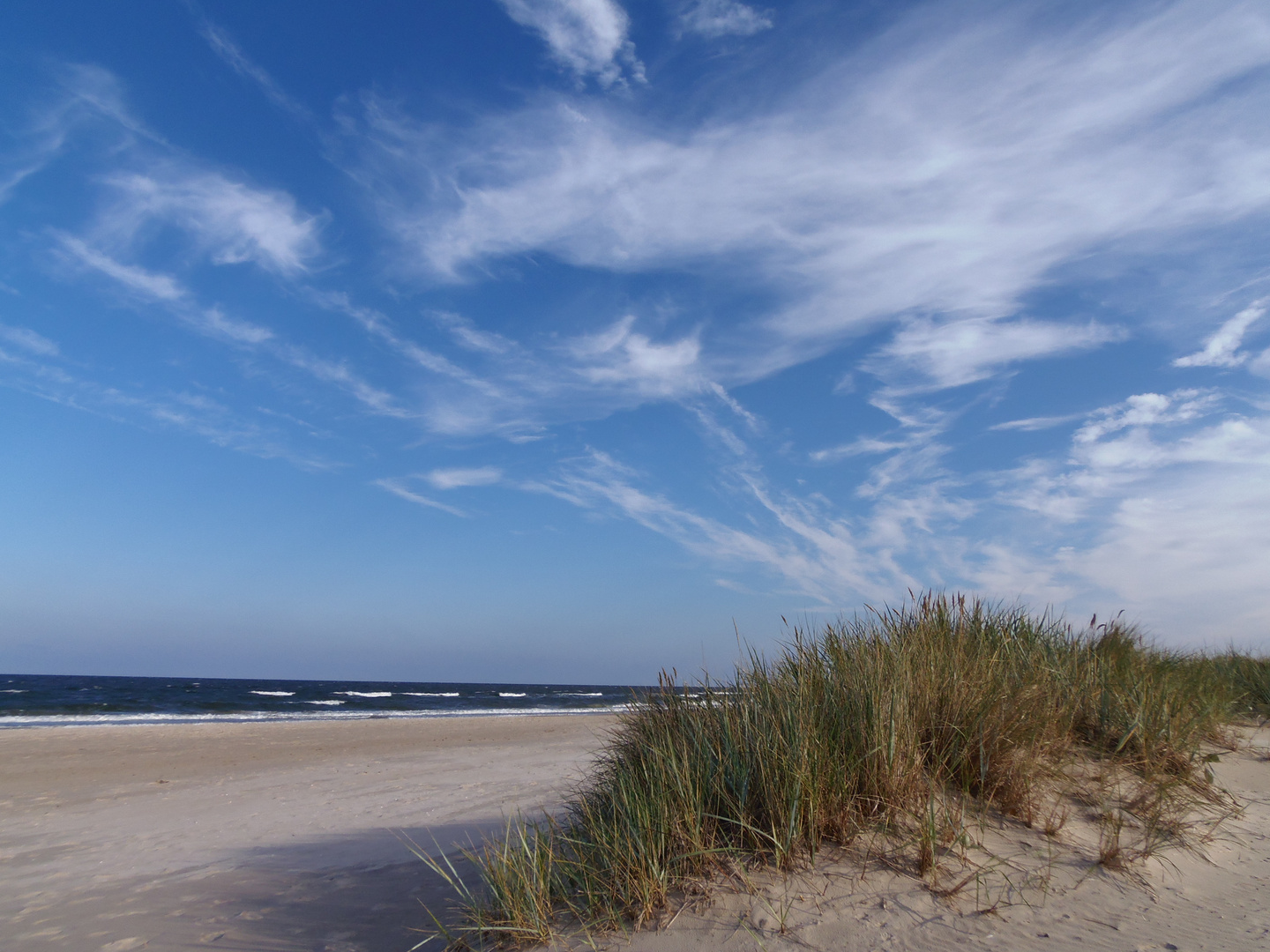 oktoberblau